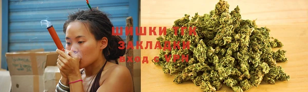 PSILOCYBIN Елабуга