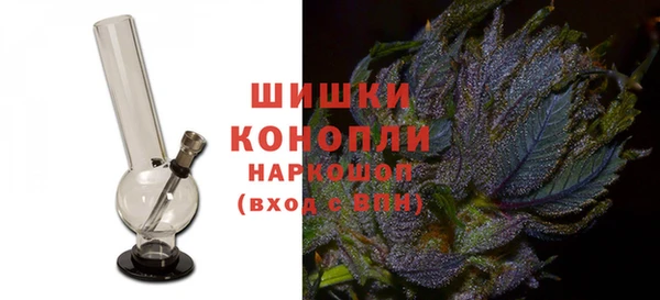 PSILOCYBIN Елабуга