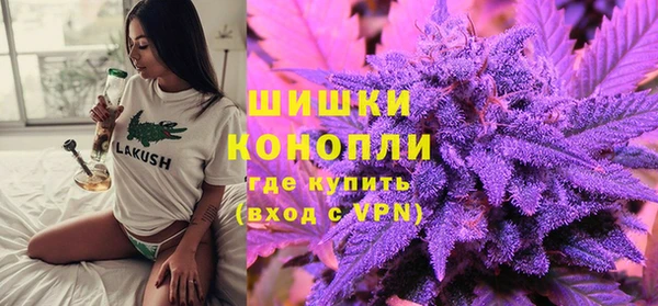 мдпв Елизово