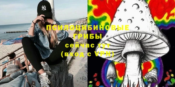 мдпв Елизово