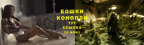 мдпв Елизово