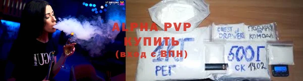 PSILOCYBIN Елабуга