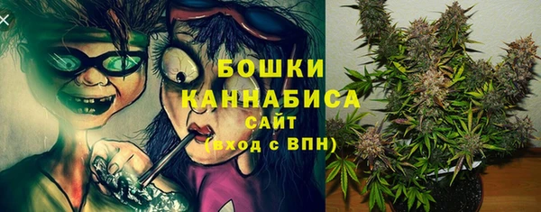мдпв Елизово