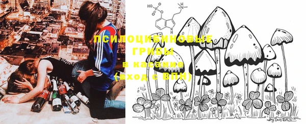 PSILOCYBIN Елабуга
