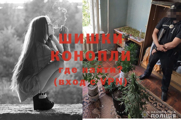 PSILOCYBIN Елабуга