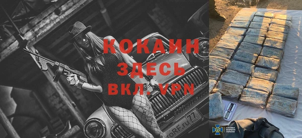 PSILOCYBIN Елабуга